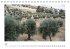 ISRAEL (Tischkalender immerwährend DIN... - Bild 8