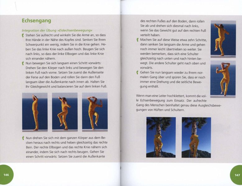 Die Heilkraft des Gehens * Gesunder Rücken * Bewegliche Gelenke * Starke Füße PDF