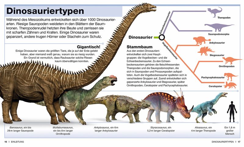 Dinosaurier - Buch - bücher.de