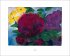 Nolde, Emil - Bild 6