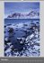 Bezauberndes Norwegen ~ Lofoten &... - Bild 13