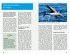 DuMont Reise-Taschenbuch Reiseführer... - Bild 3