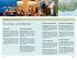 DuMont Reise-Taschenbuch Reiseführer... - Bild 4