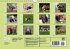 Puppies Birthday Calendar / UK-Version... - Bild 14