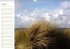 Sylter Dünen (Wandkalender... - Bild 9