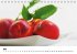 Frische Früchte (Tischkalender... - Bild 6