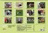 Puppies Birthday Calendar / UK-Version... - Bild 14