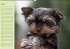 Puppies Birthday Calendar / UK-Version... - Bild 5