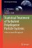 Statistical Treatment of Turbulent... - Bild 2