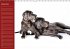 Deutsche Doggen / Geburtstagskalender... - Bild 13