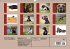 Deutsche Doggen / Geburtstagskalender... - Bild 14
