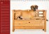 Deutsche Doggen / Geburtstagskalender... - Bild 6