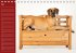 Deutsche Doggen / Geburtstagskalender... - Bild 6