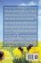 When It's Not as Simple as the Birds... - Bild 2