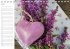Herzig / Geburtstagskalender... - Bild 7