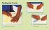 How to Make Pop-up Cards - Bild 3