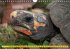 Schildkröten (Wandkalender... - Bild 12