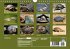 Schildkröten (Wandkalender... - Bild 14