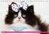 Katzen-Babys (Tischkalender... - Bild 9