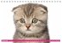 Katzen-Babys (Tischkalender... - Bild 10