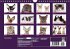 Katzen-Babys (Wandkalender... - Bild 14