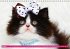 Katzen-Babys (Wandkalender... - Bild 9