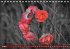 In Liebe! (Tischkalender immerwährend... - Bild 9