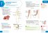 Collins New Key Stage 3 Revision --... - Bild 3
