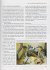 Rautenpythons - Bild 2