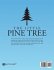 The Little Pine Tree - Bild 2