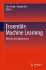 Ensemble Machine Learning - Bild 2