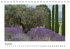 Die Provence zur Lavendelblüte... - Bild 12