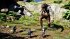 Dragon Age: Inquisition (PlayStation 4) - Bild 11
