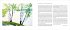 Oh hoher Baum des Schauns - Bild 5