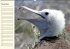 Galápagos Geburtstagskalender... - Bild 12