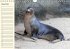 Galápagos Geburtstagskalender... - Bild 13