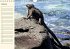 Galápagos Geburtstagskalender... - Bild 3