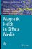 Magnetic Fields in Diffuse Media - Bild 2