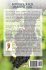 Bounce Back Anointing - Bild 2