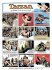 Tarzan. Sonntagsseiten / Tarzan 1939 -... - Bild 3