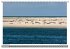 Nordsee - Impressionen einer Landschaft... - Bild 10