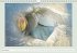 The joy of flowers (Wall Calendar... - Bild 13