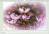 The joy of flowers (Wall Calendar... - Bild 3