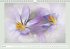The joy of flowers (Wall Calendar... - Bild 4