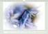 The joy of flowers (Wall Calendar... - Bild 5