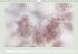 The joy of flowers (Wall Calendar... - Bild 8