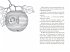Zauberschlaf und Knallfroschchaos /... - Bild 5