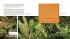 The Plant Lover's Guide to Ferns - Bild 4