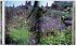 Gardens in France / Jardins de France... - Bild 4