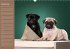 Ein Mops fürs Herz (Wandkalender... - Bild 10